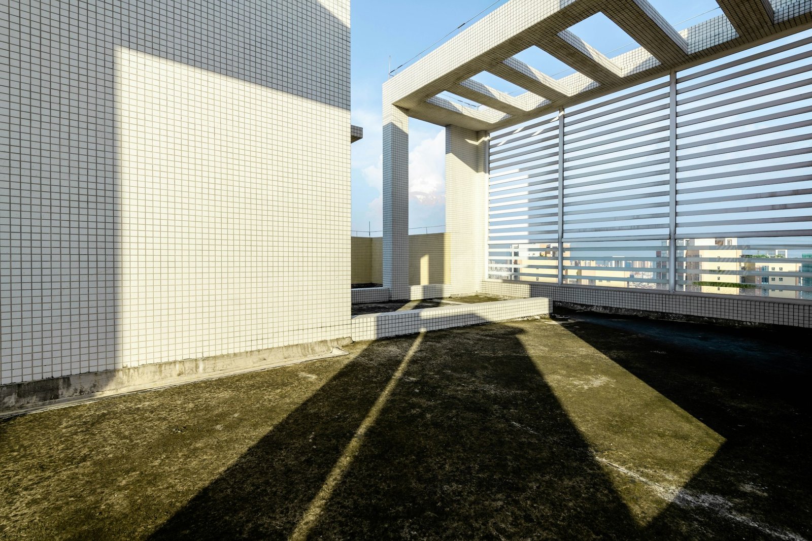 Roof Assessment and Maintenance