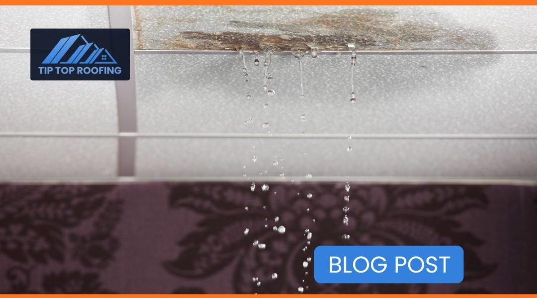 The Roof Leak That Started as a Drip — And Ended in a $9,800 Disaster