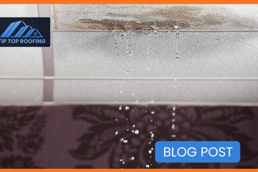 The Roof Leak That Started as a Drip — And Ended in a $9,800 Disaster